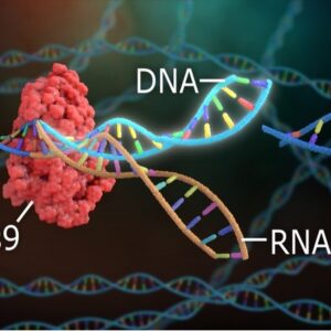 Biotech: Edition du Génome